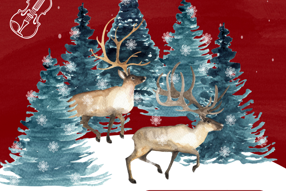 Kerstconcert door strijkensemble Iuvenes,vrijdag 22 december om 19.00 in de Zonnesteinzaal. Programma 1e suite Peer Gynt met verteller en Corelli Concerto grosso”Christmas Concerto”