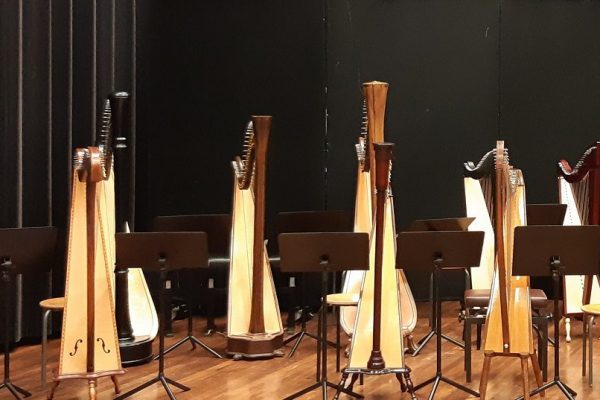 Harp ensemble