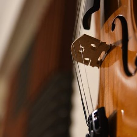 Cello bij Platform C