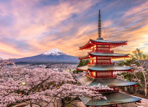 Fujiyoshida, Japan at Chureito Pagoda and Mt. Fuji in the spring with cherry blossoms.