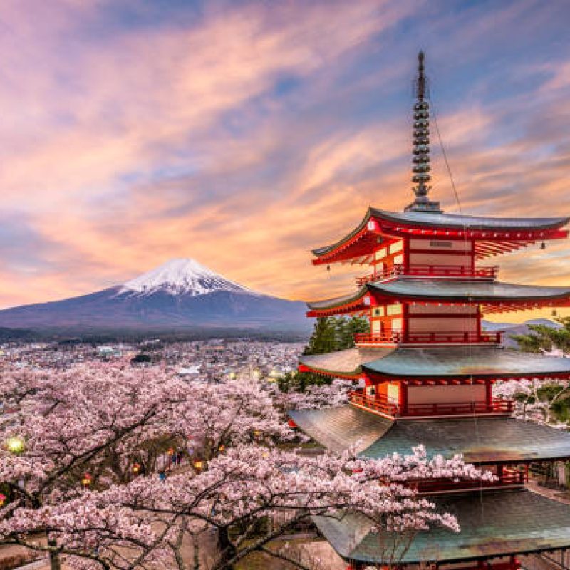 Fujiyoshida, Japan at Chureito Pagoda and Mt. Fuji in spring with cherry blossoms.